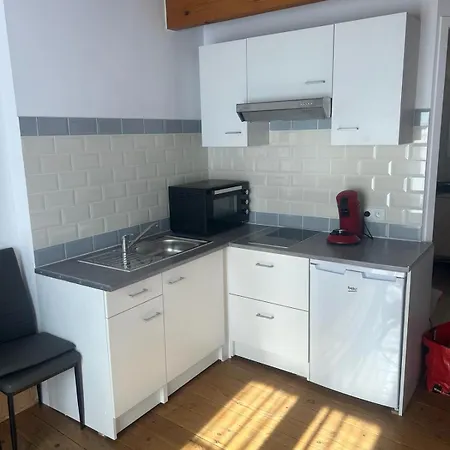 Grand 3 Pieces Lumineux A Sur Gesse Apartament